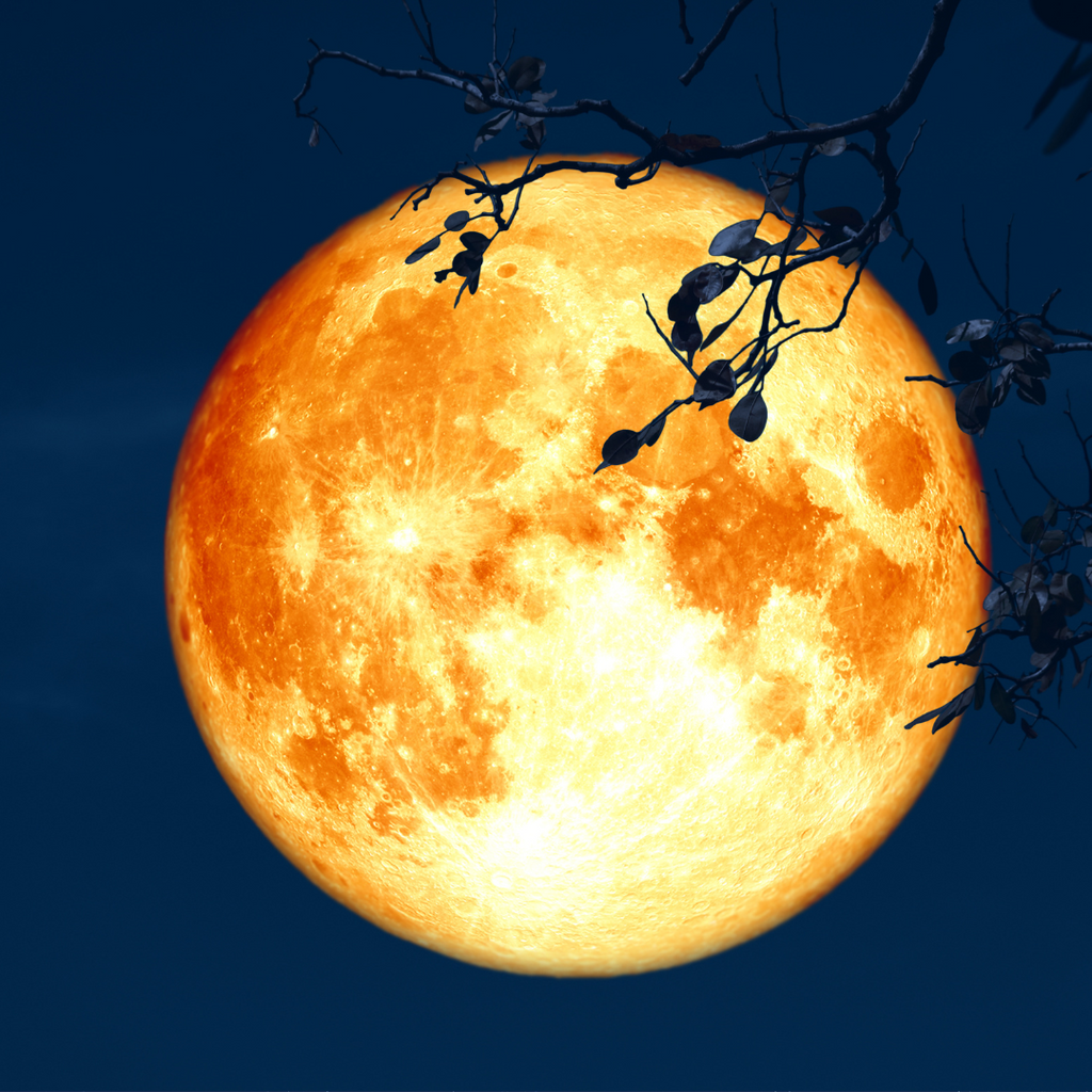14th July Super Full Moon in Capricorn